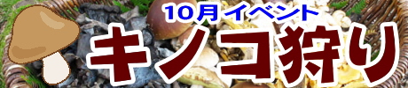 キノコ狩り