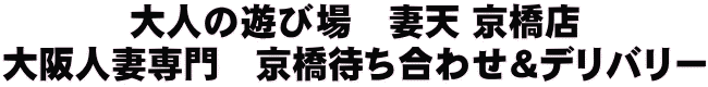 大人の遊び場 妻天 京橋店 大阪人妻専門 京橋待ち合わせ＆デリバリー