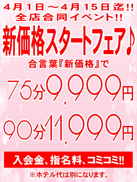 新価格スタートフェア♪