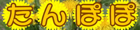 たんぽぽ