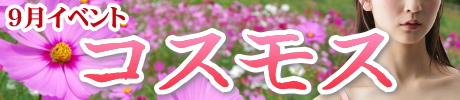 コスモス