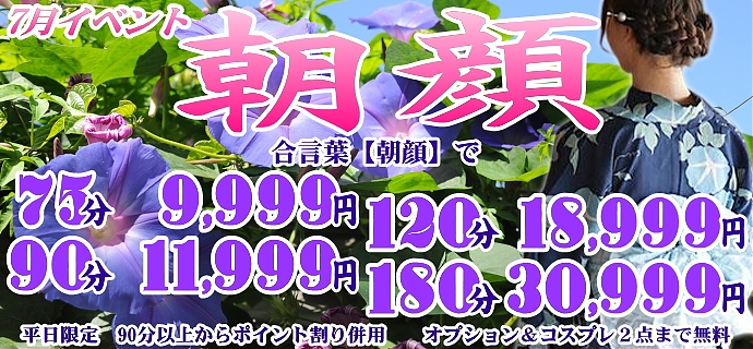 朝顔
