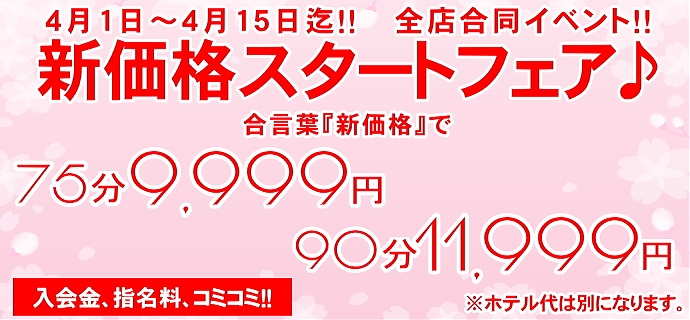 新価格スタートフェア♪